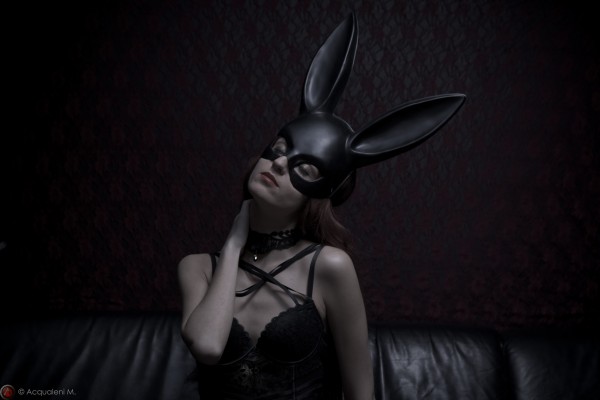 Featured Image Rabbit of velvet pleasures