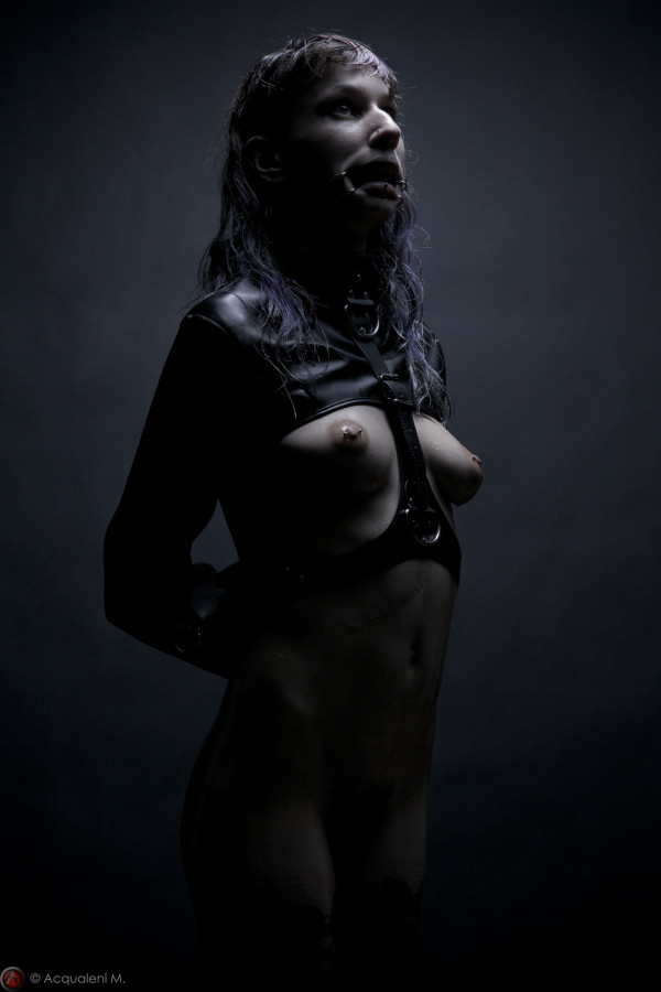 Featured Image BDSM Luna