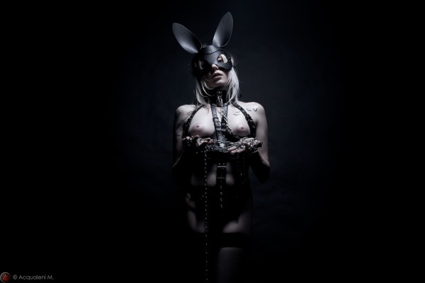 Featured Image bunny