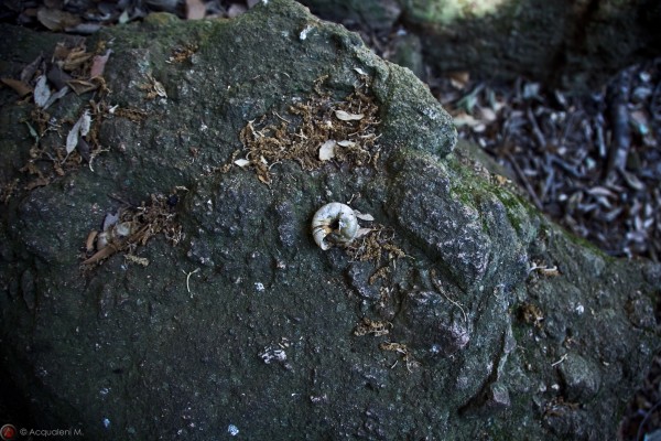 Featured Image The Downward Spiral