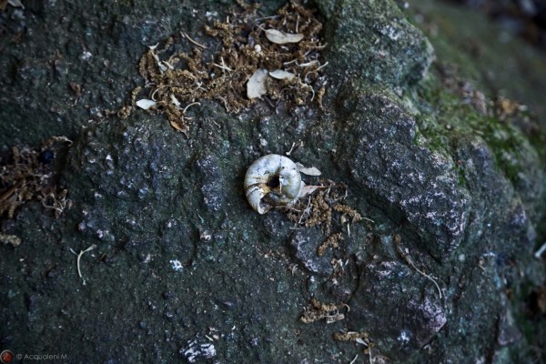 Featured Image The Downward Spiral