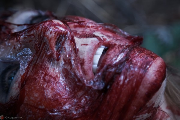 Featured Image La Revenante