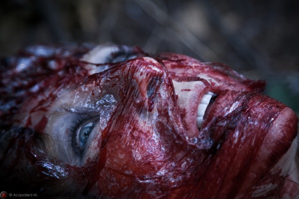 Featured Image La Revenante