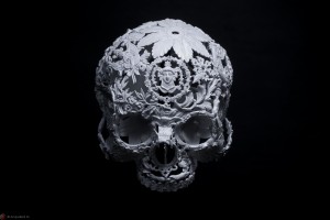 Featured Image Skull