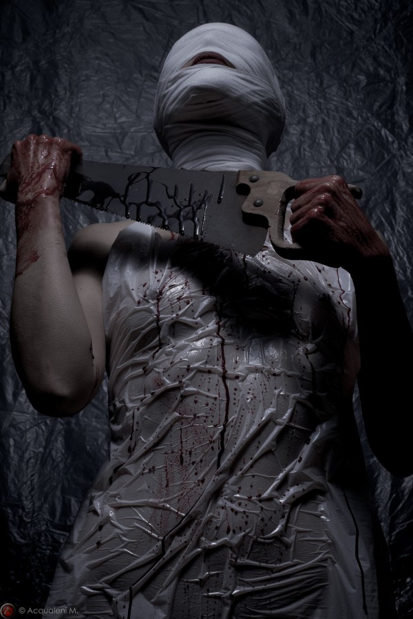 Featured Image Lady Butcher
