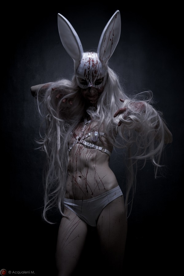 Featured Image Rabbit of Lust