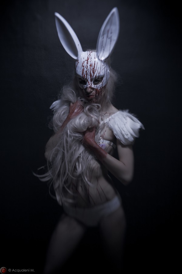 Featured Image Rabbit of Lust