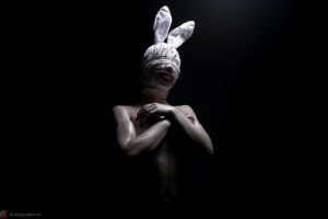 Featured Image Sweet Bunny
