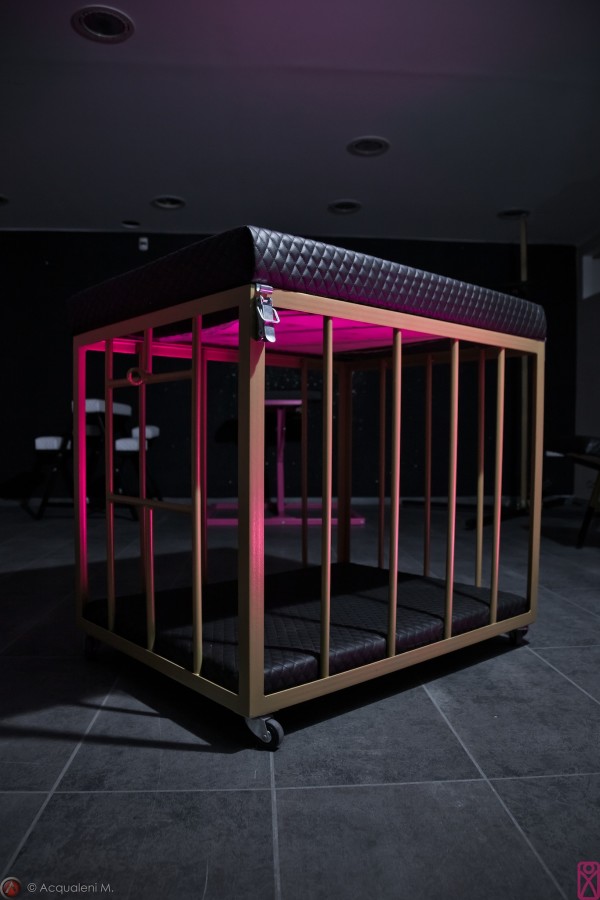Featured Image NouxLie